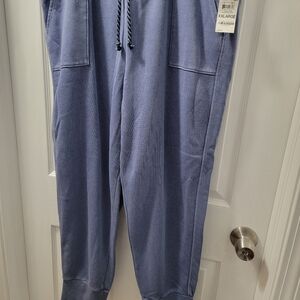 Style & co blue sweat pants